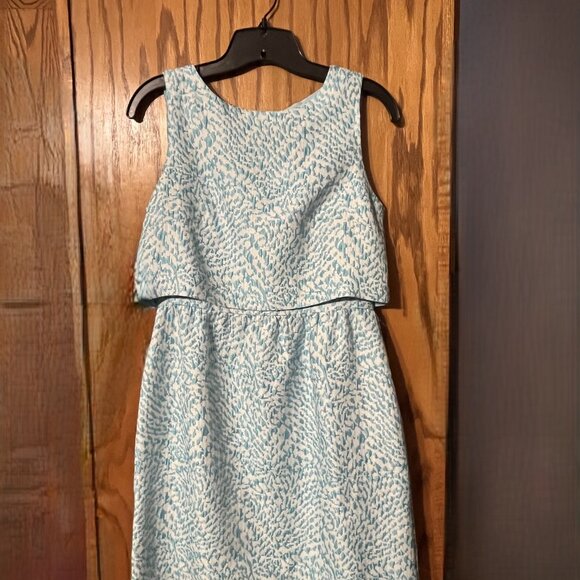 The Limited Dress - Picture 2 of 4